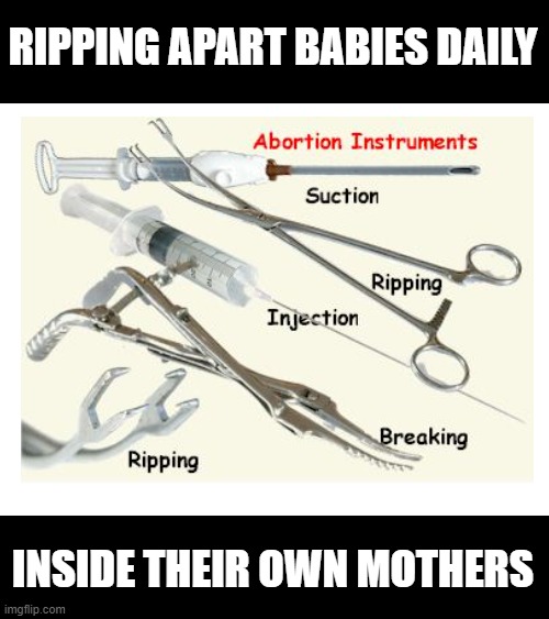 RIPPING APART BABIES DAILY INSIDE THEIR OWN MOTHERS | made w/ Imgflip meme maker