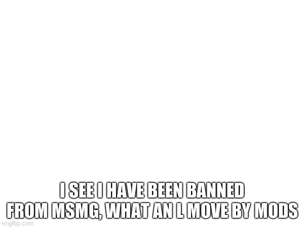 I SEE I HAVE BEEN BANNED FROM MSMG, WHAT AN L MOVE BY MODS | made w/ Imgflip meme maker