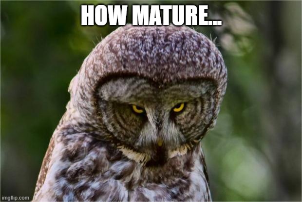 Seriously Owl | HOW MATURE... | image tagged in seriously owl | made w/ Imgflip meme maker