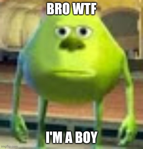 Sully Wazowski | BRO WTF I'M A BOY | image tagged in sully wazowski | made w/ Imgflip meme maker