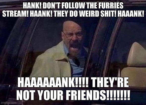 Walter White Screaming At Hank | HANK! DON'T FOLLOW THE FURRIES STREAM! HAANK! THEY DO WEIRD SHIT! HAAANK! HAAAAAANK!!!! THEY'RE NOT YOUR FRIENDS!!!!!!! | image tagged in walter white screaming at hank | made w/ Imgflip meme maker