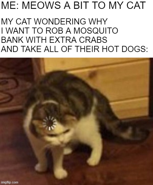 teh heh | ME: MEOWS A BIT TO MY CAT; MY CAT WONDERING WHY I WANT TO ROB A MOSQUITO BANK WITH EXTRA CRABS AND TAKE ALL OF THEIR HOT DOGS: | image tagged in loading cat | made w/ Imgflip meme maker