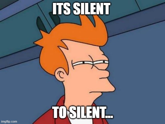 Its Silent To Silent... | ITS SILENT; TO SILENT... | image tagged in memes,futurama fry,to silent,fun,funny,alcarius memes | made w/ Imgflip meme maker