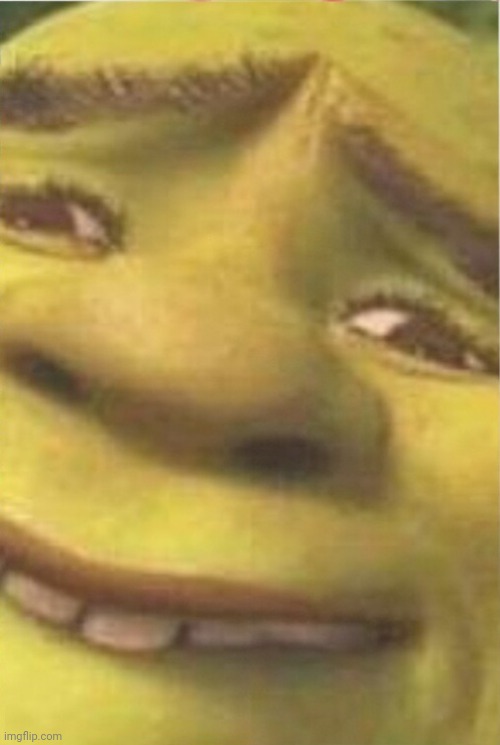 .... | image tagged in shrek,cursed image | made w/ Imgflip meme maker