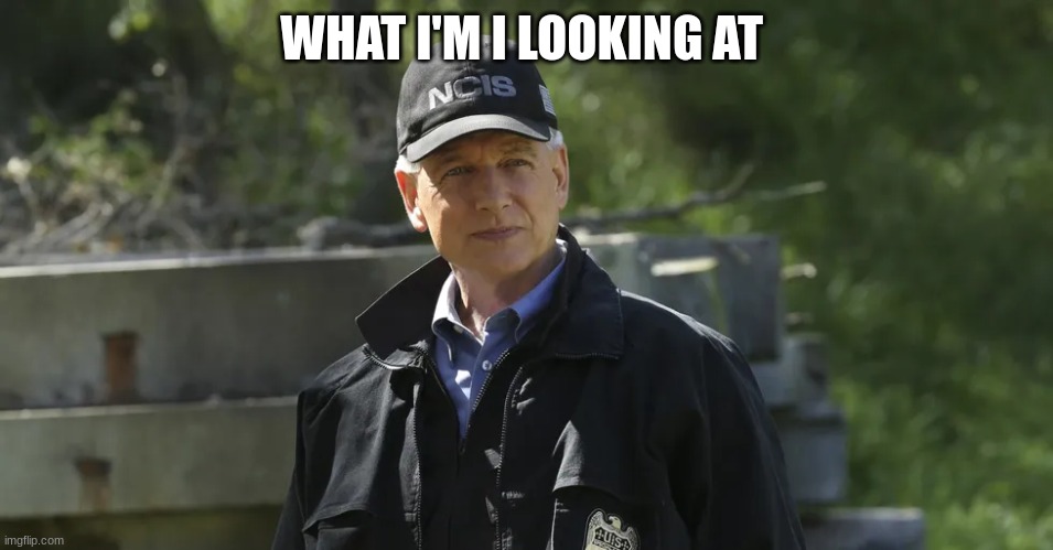 NCIS gibbs | WHAT I'M I LOOKING AT | image tagged in ncis gibbs | made w/ Imgflip meme maker