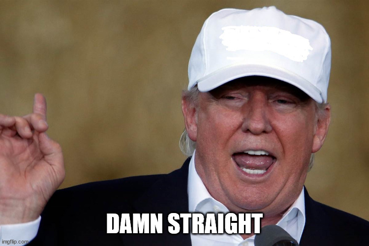 Donald Trump Blank MAGA Hat | DAMN STRAIGHT | image tagged in donald trump blank maga hat | made w/ Imgflip meme maker