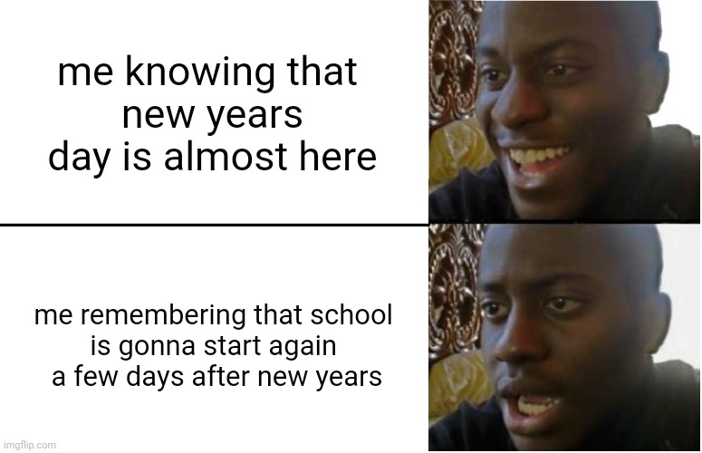 literally me right now | me knowing that 
new years day is almost here; me remembering that school 
is gonna start again 
a few days after new years | image tagged in memes | made w/ Imgflip meme maker