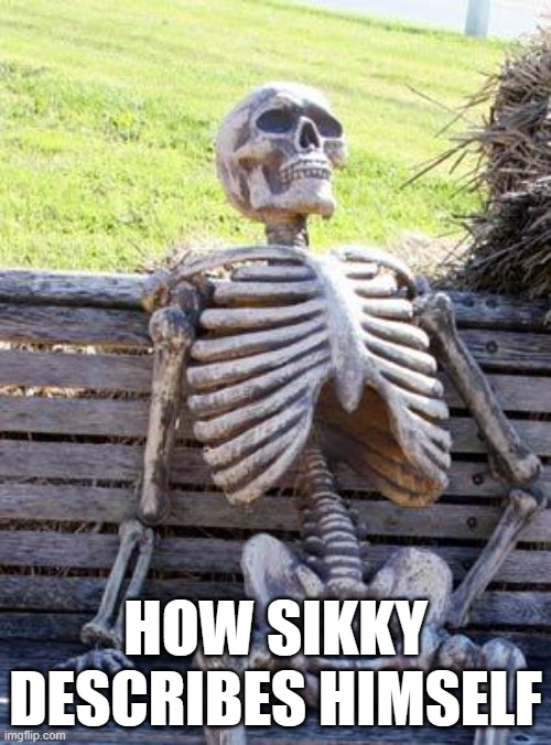 boomer | HOW SIKKY DESCRIBES HIMSELF | image tagged in memes,waiting skeleton | made w/ Imgflip meme maker