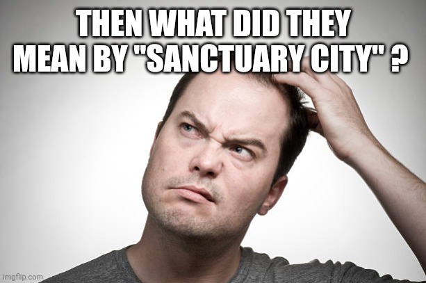confused | THEN WHAT DID THEY MEAN BY "SANCTUARY CITY" ? | image tagged in confused | made w/ Imgflip meme maker
