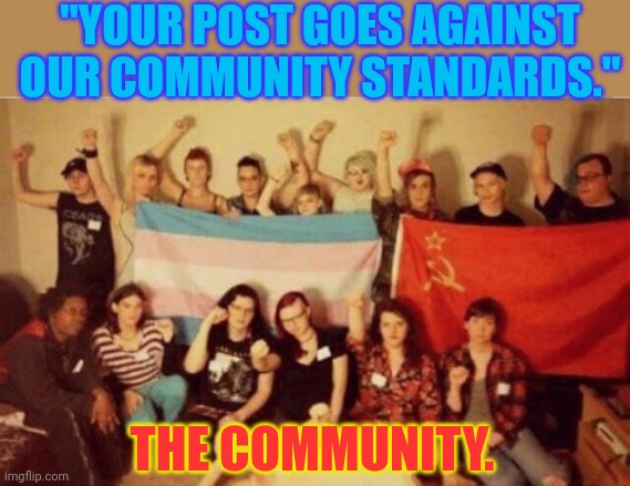 "YOUR POST GOES AGAINST OUR COMMUNITY STANDARDS."; THE COMMUNITY. | made w/ Imgflip meme maker