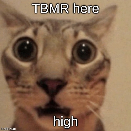 in shock | TBMR here; high | image tagged in in shock | made w/ Imgflip meme maker