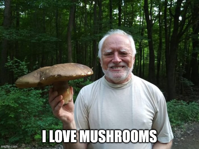Hide The Pain Harold Holding A Mushroom | I LOVE MUSHROOMS | image tagged in hide the pain harold holding a mushroom | made w/ Imgflip meme maker
