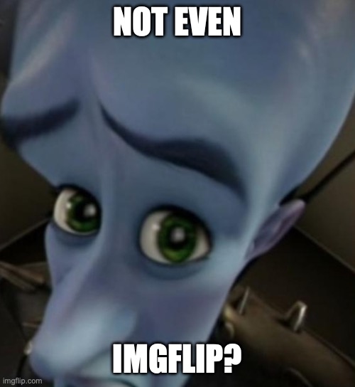 Megamind no bitches | NOT EVEN IMGFLIP? | image tagged in megamind no bitches | made w/ Imgflip meme maker