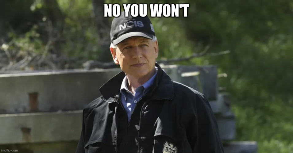 NCIS gibbs | NO YOU WON'T | image tagged in ncis gibbs | made w/ Imgflip meme maker