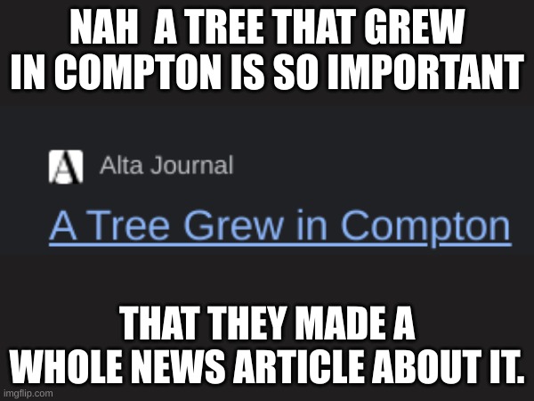 A tree grew straight outta compton | NAH  A TREE THAT GREW IN COMPTON IS SO IMPORTANT; THAT THEY MADE A WHOLE NEWS ARTICLE ABOUT IT. | image tagged in straight outta compton,rappers,gangsta | made w/ Imgflip meme maker