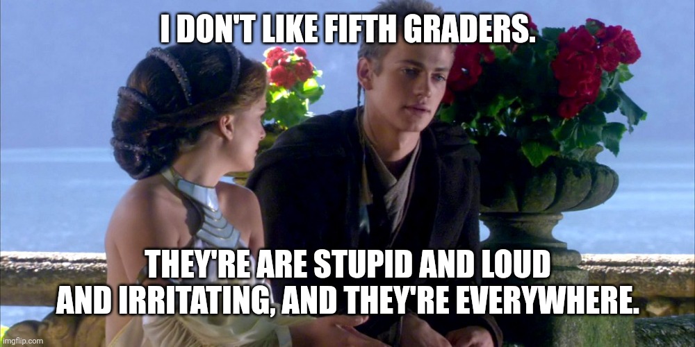 I Hate Sand | I DON'T LIKE FIFTH GRADERS. THEY'RE ARE STUPID AND LOUD AND IRRITATING, AND THEY'RE EVERYWHERE. | image tagged in i hate sand | made w/ Imgflip meme maker