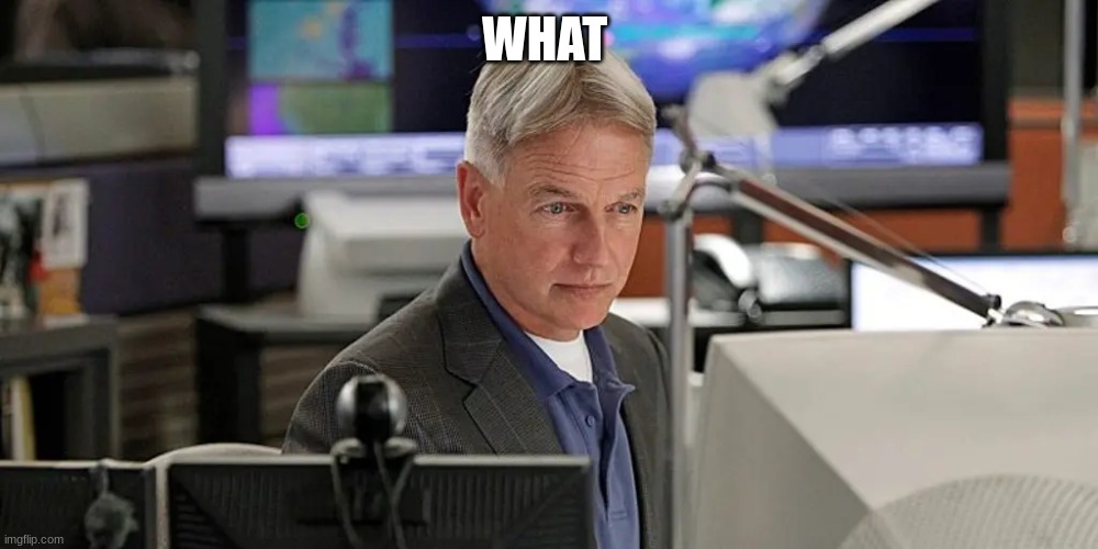 NCIS gibbs | WHAT | image tagged in ncis gibbs | made w/ Imgflip meme maker