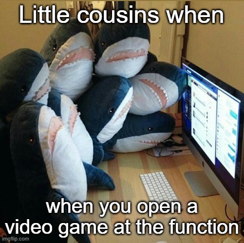 THE SHAR | Little cousins when; when you open a video game at the function | image tagged in blahaj validation,shark,annoying,video games,function,memes | made w/ Imgflip meme maker