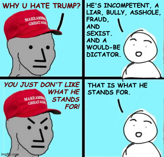 One step closer to your epiphany. | WHY U HATE TRUMP? HE'S INCOMPETENT, A
LIAR, BULLY, ASSHOLE,
FRAUD,
AND
SEXIST.
AND A
WOULD-BE
DICTATOR. THAT IS WHAT HE
STANDS FOR. YOU JUST DON'T LIKE 
WHAT HE 
STANDS 
FOR! | image tagged in maga npc an an0nym0us template,memes,trump | made w/ Imgflip meme maker