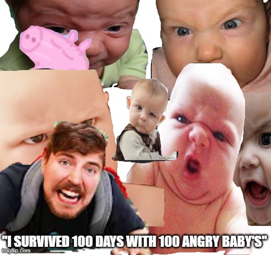 The noise | "I SURVIVED 100 DAYS WITH 100 ANGRY BABY'S" | image tagged in mr beast | made w/ Imgflip meme maker