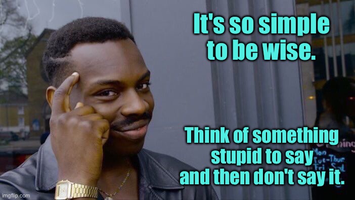 Simple to be wise | It's so simple to be wise. Think of something stupid to say and then don't say it. | image tagged in roll safe think about it,think of something stupid,but do not say it,fun,wise | made w/ Imgflip meme maker