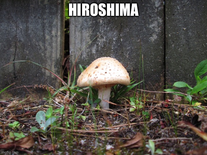 mushroom | HIROSHIMA | image tagged in mushroom | made w/ Imgflip meme maker