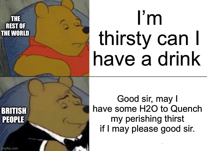 Tuxedo Winnie The Pooh | I’m thirsty can I have a drink; THE REST OF THE WORLD; Good sir, may I have some H2O to Quench my perishing thirst if I may please good sir. BRITISH PEOPLE | image tagged in memes,tuxedo winnie the pooh | made w/ Imgflip meme maker