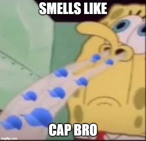 I smell cap | SMELLS LIKE CAP BRO | image tagged in i smell cap | made w/ Imgflip meme maker