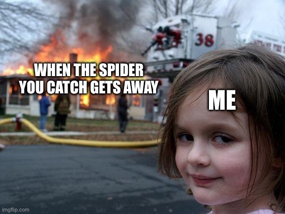 Disaster Girl | ME; WHEN THE SPIDER YOU CATCH GETS AWAY | image tagged in memes,disaster girl | made w/ Imgflip meme maker