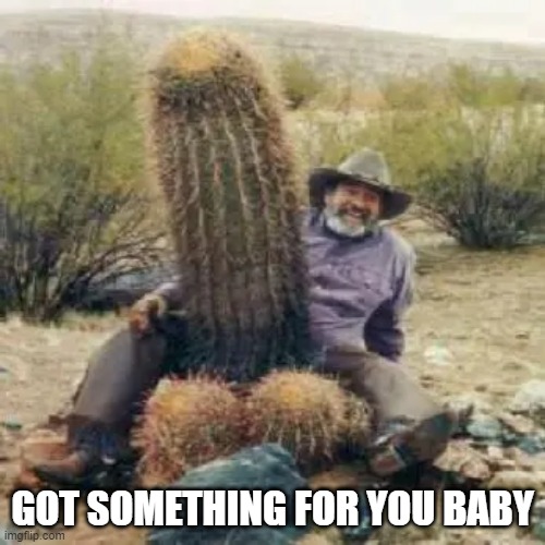 Prick-ly | GOT SOMETHING FOR YOU BABY | image tagged in sex joke | made w/ Imgflip meme maker
