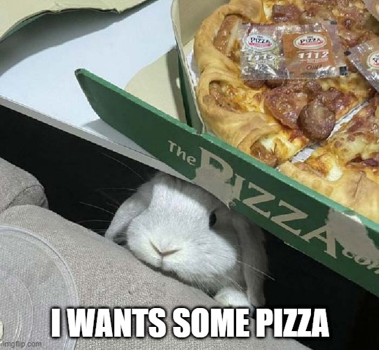Pizza Bunny | I WANTS SOME PIZZA | image tagged in bunnies | made w/ Imgflip meme maker