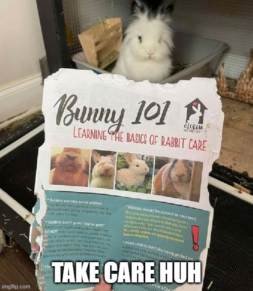 Bunny 101 | TAKE CARE HUH | image tagged in bunnies | made w/ Imgflip meme maker