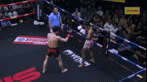 格闘技  日本ムエタイ界の至宝、本場タイで衝撃の凱旋を飾る。
