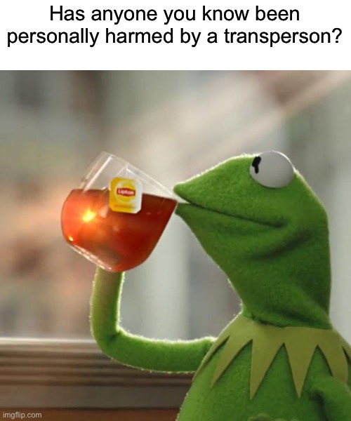 I'm guessing no | Has anyone you know been personally harmed by a transperson? | image tagged in memes,but that's none of my business,kermit the frog,politics | made w/ Imgflip meme maker