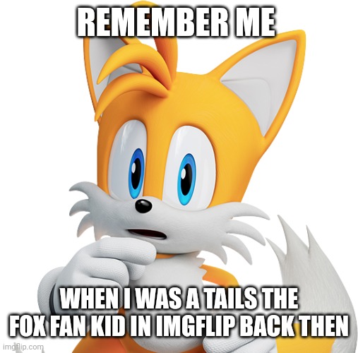 not a meme | REMEMBER ME; WHEN I WAS A TAILS THE FOX FAN KID IN IMGFLIP BACK THEN | image tagged in tails the fox,tails | made w/ Imgflip meme maker