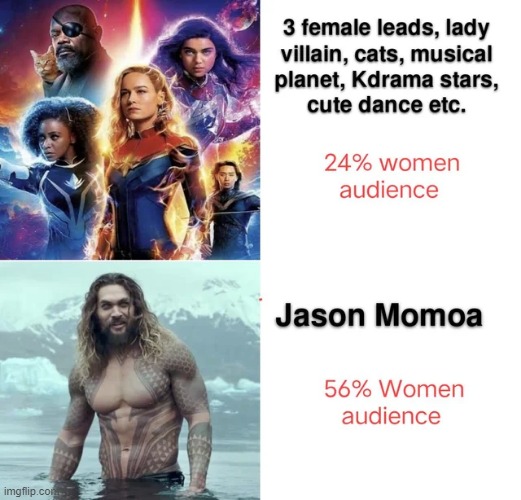 So Much for Chick Power | image tagged in mcu,dceu | made w/ Imgflip meme maker
