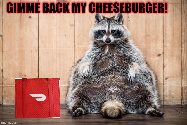 GIMME BACK MY CHEESEBURGER! | made w/ Imgflip meme maker