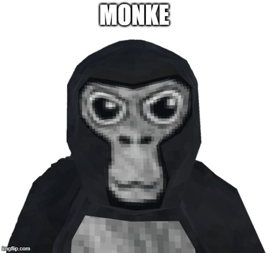 Gorilla tag | MONKE | image tagged in gorilla tag | made w/ Imgflip meme maker