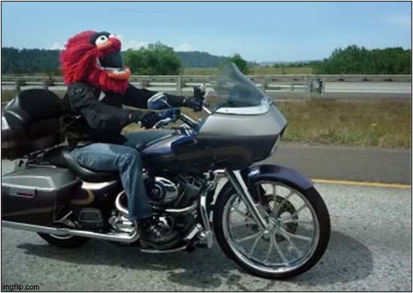 Awesome Crash Helmet ! | image tagged in motorcycle,helmet | made w/ Imgflip meme maker