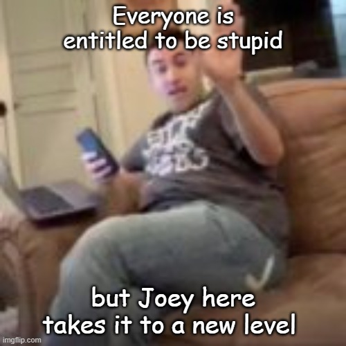 Joey | Everyone is entitled to be stupid; but Joey here takes it to a new level | image tagged in funny | made w/ Imgflip meme maker