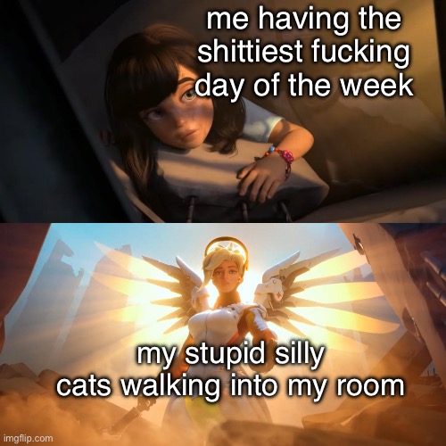 they made me happier than ever, i could not live without em now | me having the shittiest fucking day of the week; my stupid silly cats walking into my room | made w/ Imgflip meme maker