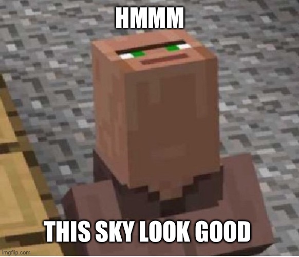 Minecraft Villager Looking Up | HMMM; THIS SKY LOOK GOOD | image tagged in minecraft villager looking up | made w/ Imgflip meme maker