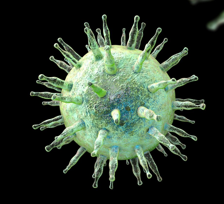 Epstein Barr virus Blank Meme Template