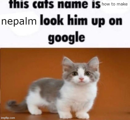 this cats name is how to make nepalm | how to make; nepalm | image tagged in this cats name is x look him up on google | made w/ Imgflip meme maker