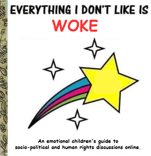 Everyhing I Don't Like Is Woke | WOKE; An emotional children's guide to socio-political and human rights discussions online. | image tagged in everything i don't like is,woke | made w/ Imgflip meme maker