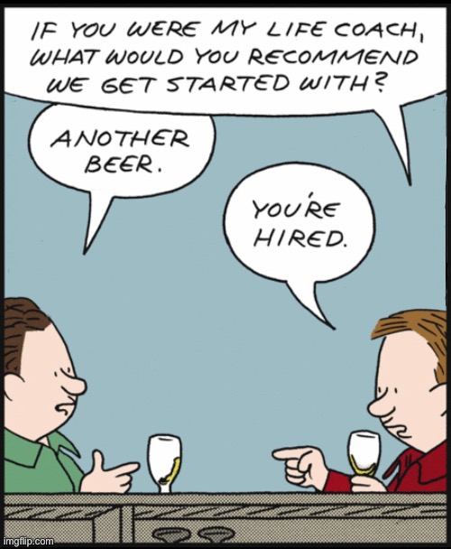 My life coach | image tagged in life coach,what do you recommend,another beer,you are hired,comics | made w/ Imgflip meme maker