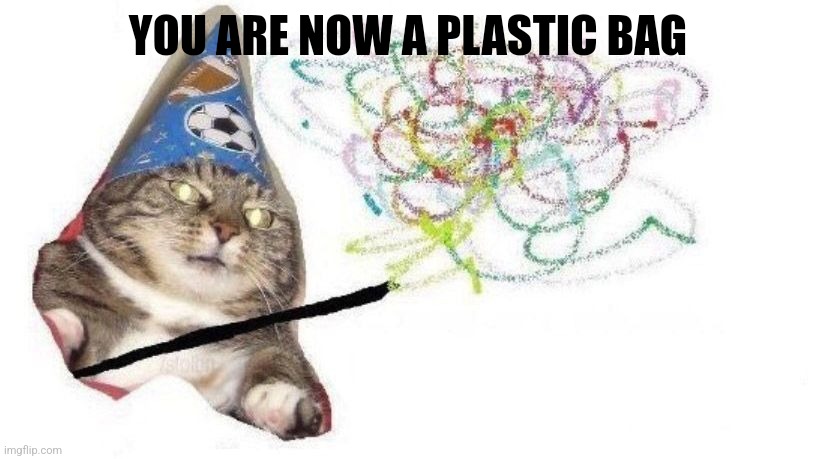 Wizard Cat | YOU ARE NOW A PLASTIC BAG | image tagged in wizard cat | made w/ Imgflip meme maker