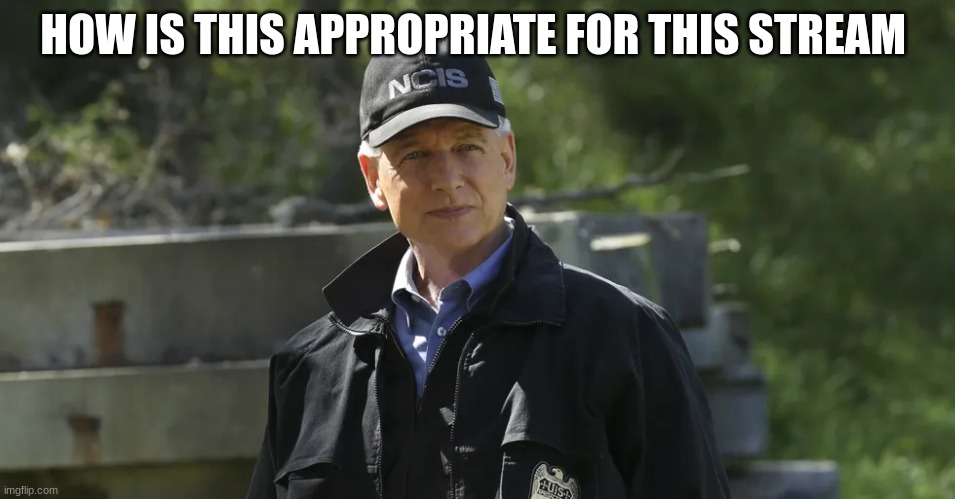 NCIS gibbs | HOW IS THIS APPROPRIATE FOR THIS STREAM | image tagged in ncis gibbs | made w/ Imgflip meme maker