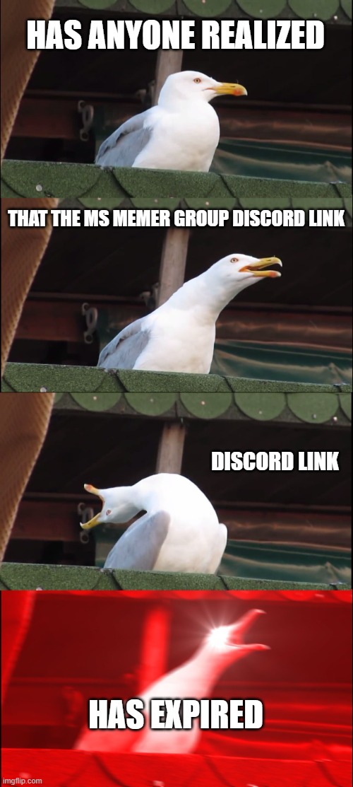 BRING IT BACK | HAS ANYONE REALIZED; THAT THE MS MEMER GROUP DISCORD LINK; DISCORD LINK; HAS EXPIRED | image tagged in memes,inhaling seagull,discord | made w/ Imgflip meme maker