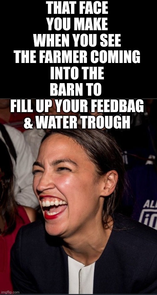 Horse Tooth AOC | THAT FACE YOU MAKE WHEN YOU SEE THE FARMER COMING INTO THE BARN TO 
FILL UP YOUR FEEDBAG & WATER TROUGH | image tagged in horse tooth aoc | made w/ Imgflip meme maker